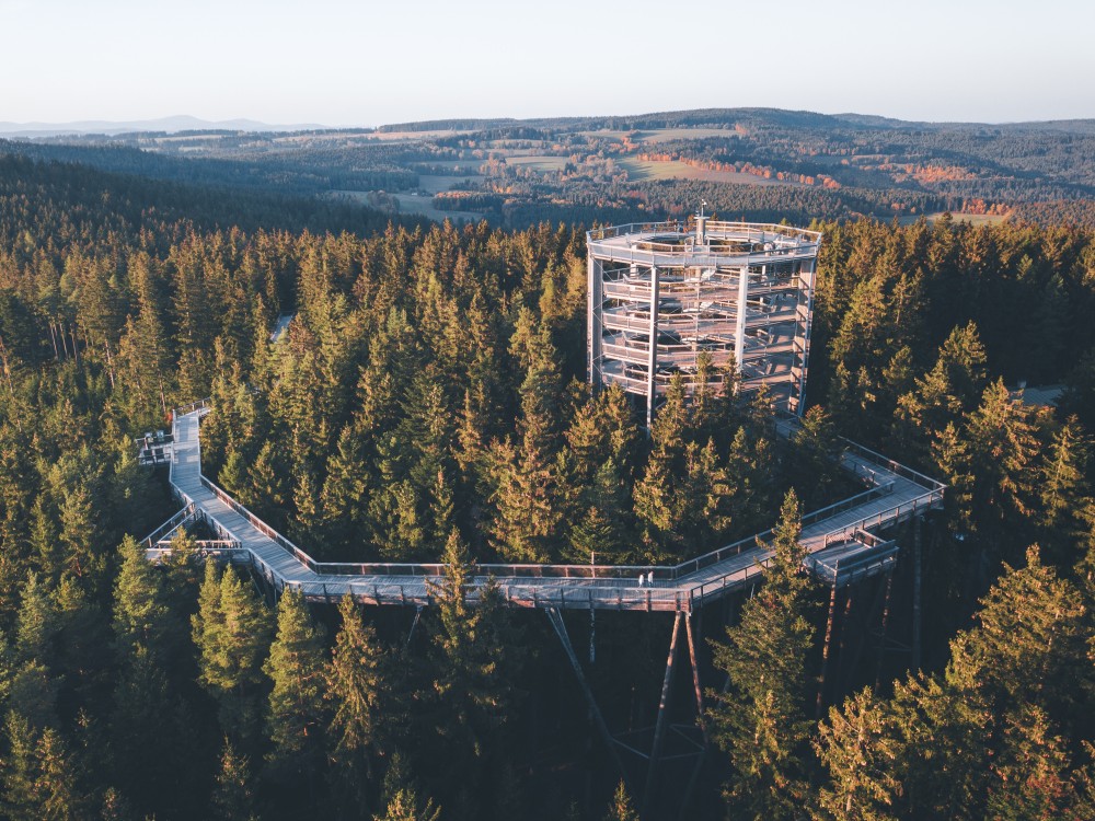 Treetop Walkway