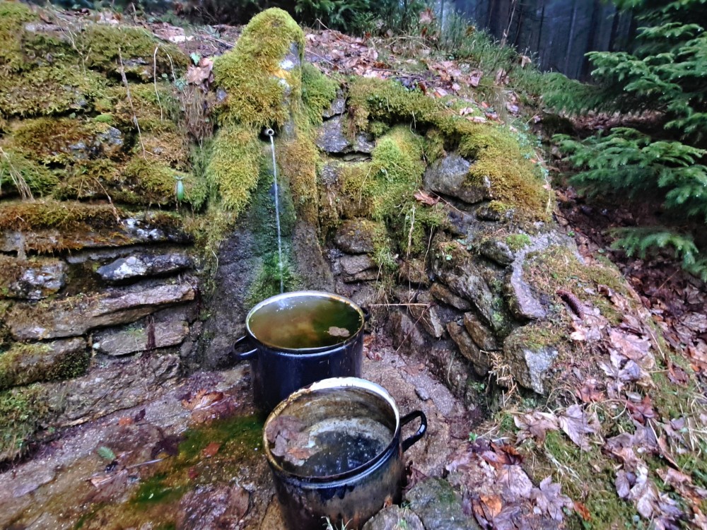 Studánka